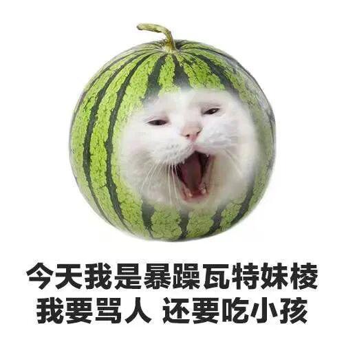 E句话- 新F4上海开唱，朱孝天疑似内涵阿信？-第28张图片-旧杳电影网