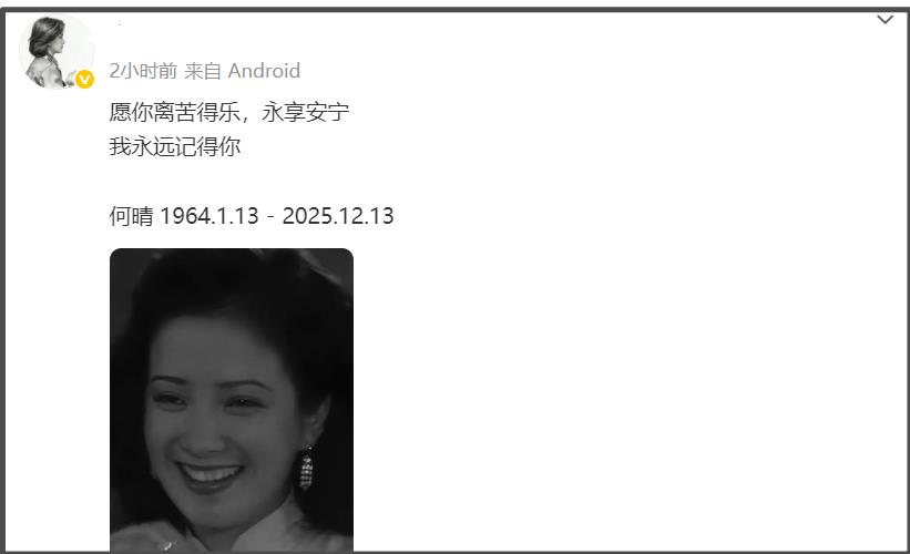 何晴生前最大谣言！没有再婚嫁廖京生，唯一一段婚姻是和许亚军-第23张图片-旧杳电影网