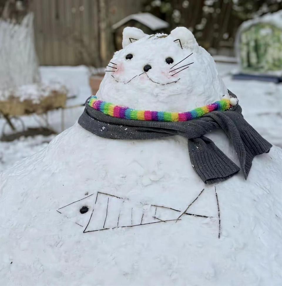 姚晨在家堆雪人，别墅院子里积雪很厚，儿子单眼皮长得像爸爸曹郁-第1张图片-旧杳电影网