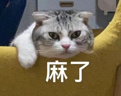 E句话-林俊杰女友比他小21岁啊……-第17张图片-旧杳电影网