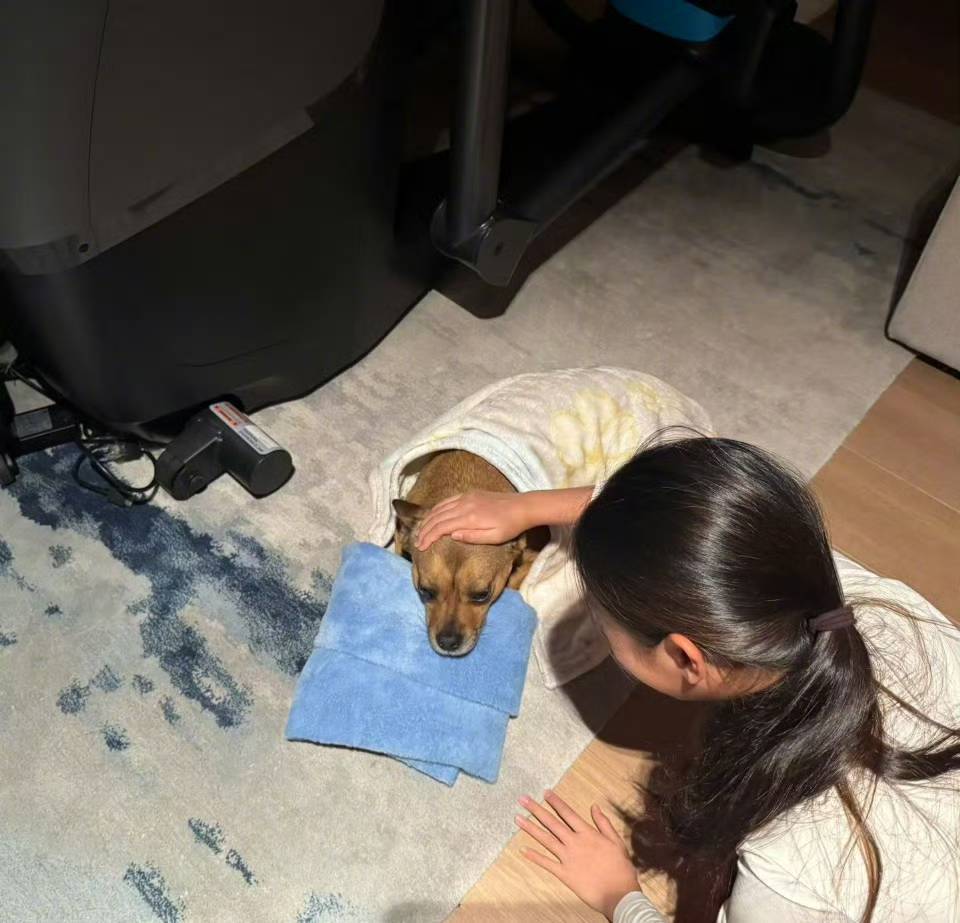 孙俪晒11岁女儿小花背影，和邓超复制粘贴，穿兄妹装撸狗超有爱-第2张图片-旧杳电影网