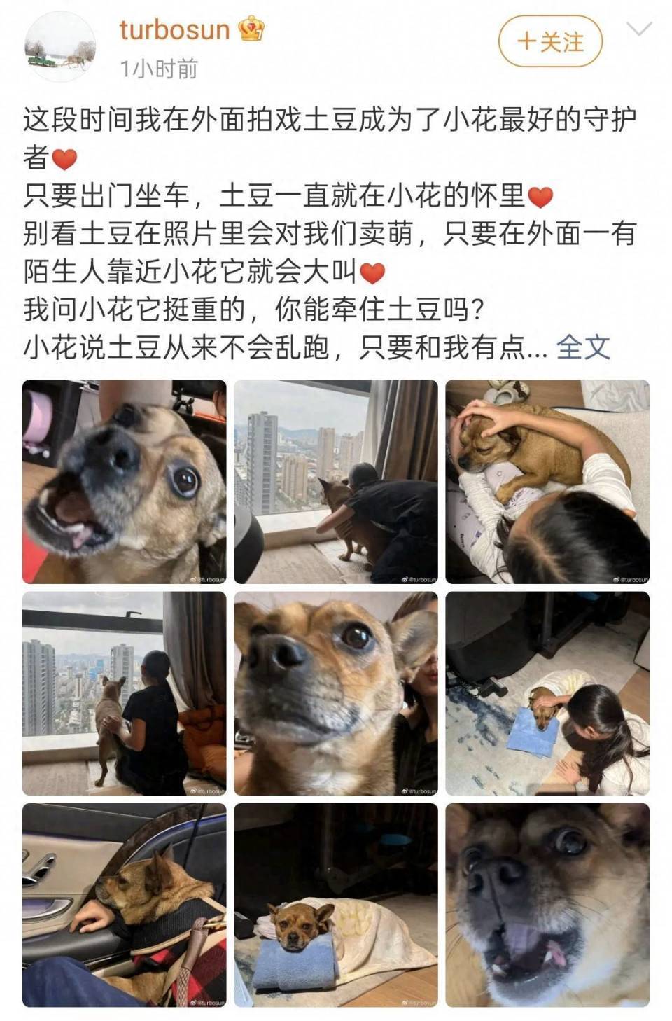 孙俪晒11岁女儿小花背影，和邓超复制粘贴，穿兄妹装撸狗超有爱-第3张图片-旧杳电影网