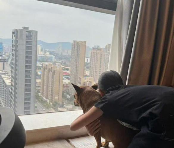 孙俪晒11岁女儿小花背影，和邓超复制粘贴，穿兄妹装撸狗超有爱-第4张图片-旧杳电影网