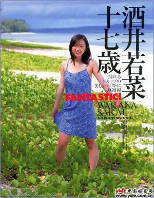 酒井若菜-第1张图片-旧杳电影网