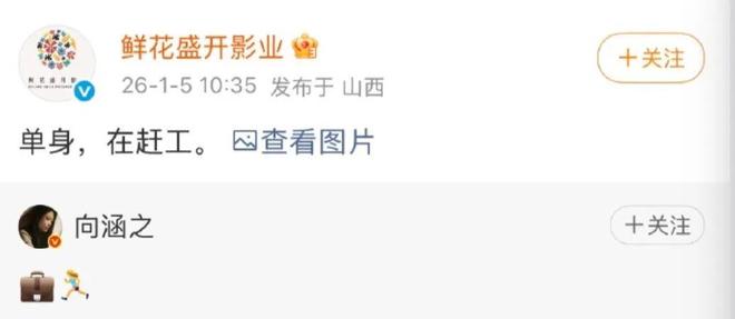 E句话-工作室宣布向涵之单身？-第5张图片-旧杳电影网