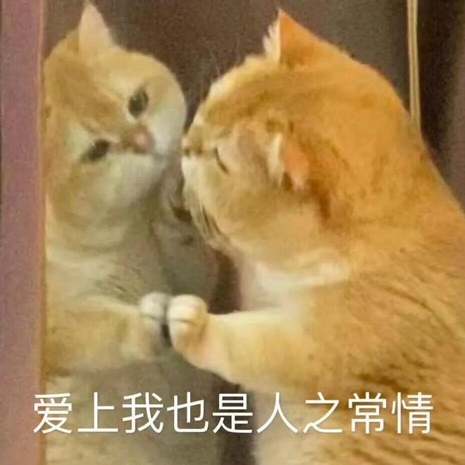 E句话-工作室宣布向涵之单身？-第4张图片-旧杳电影网