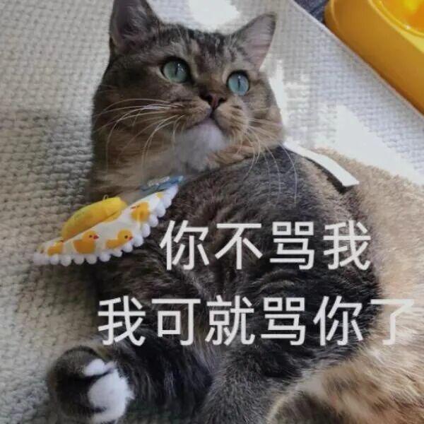 E句话-工作室宣布向涵之单身？-第8张图片-旧杳电影网