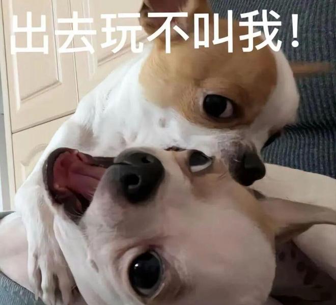 E句话-工作室宣布向涵之单身？-第19张图片-旧杳电影网