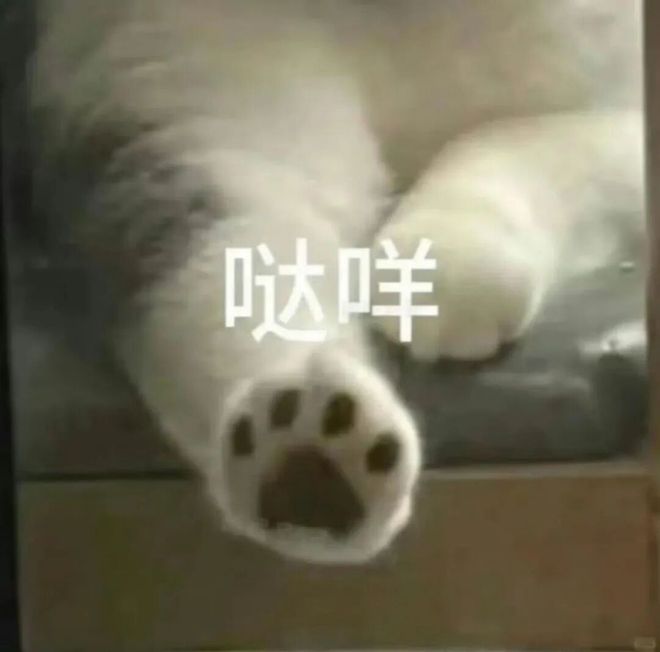 E句话-工作室宣布向涵之单身？-第25张图片-旧杳电影网