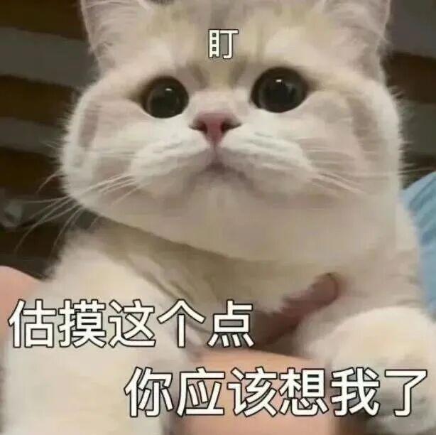 E句话-工作室宣布向涵之单身？-第31张图片-旧杳电影网