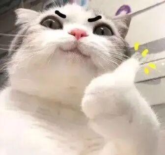 E句话-她回应已分手，这俩原来真谈过？！-第19张图片-旧杳电影网