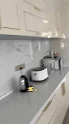 一顿饭11个菜，客厅大得能打球，哭穷的闫学晶害惨“啃老”的儿子-第5张图片-旧杳电影网