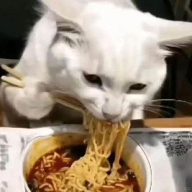 Twins又上热搜了，又是帅哥又是奶狗弟弟的…-第12张图片-旧杳电影网