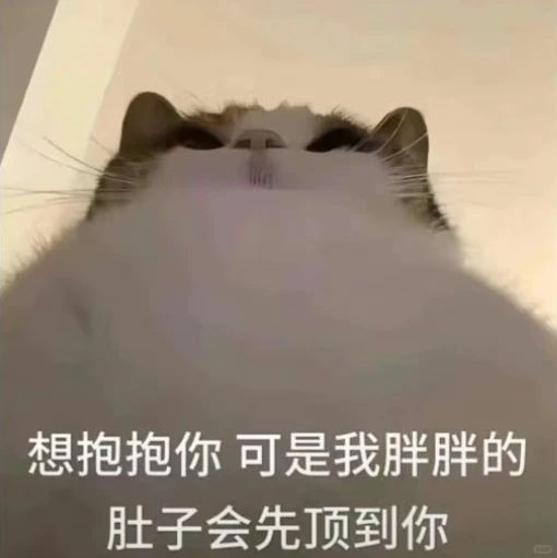 Twins又上热搜了，又是帅哥又是奶狗弟弟的…-第20张图片-旧杳电影网