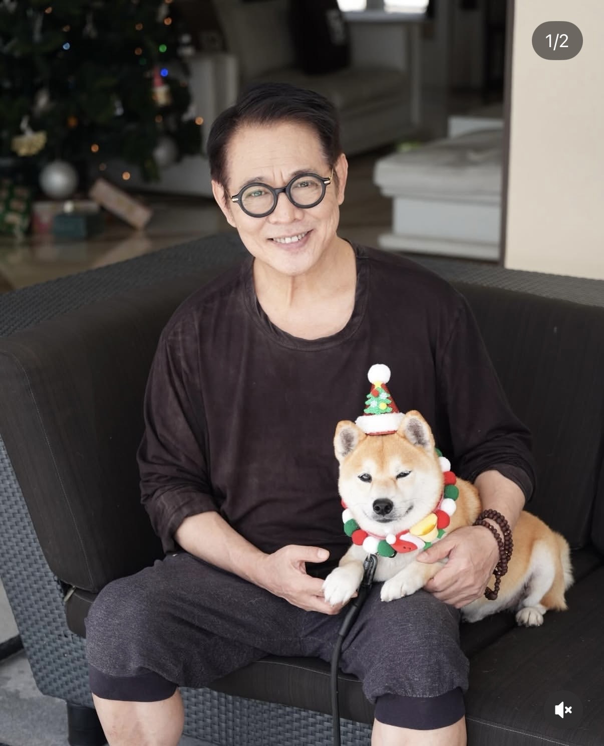 李连杰回新加坡过圣诞，抱狗与俩女儿在别墅庆祝，利智也在没露脸-第3张图片-旧杳电影网