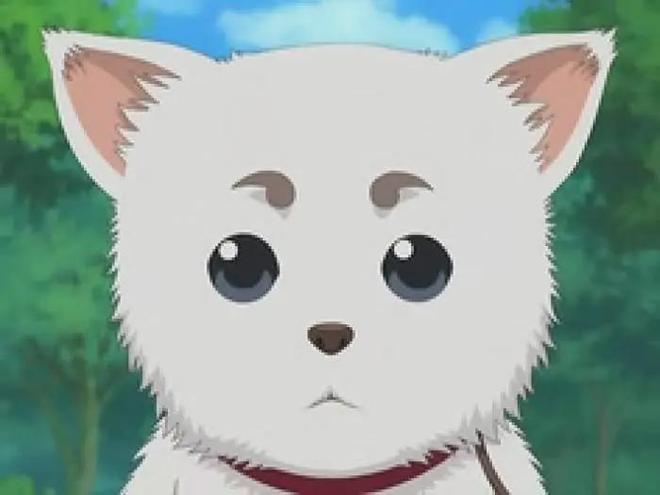 这是最好的国产情景喜剧了吧?-第1张图片-旧杳电影网 这是最好的国产情景喜剧了吧?-第1张图片-旧杳电影网