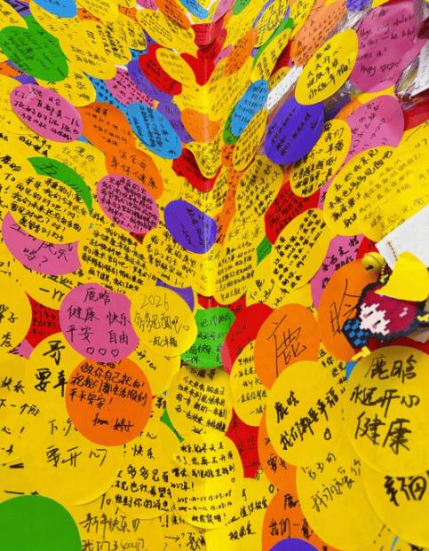 鹿晗风波后首次更新动态：大家的祝福都收到-第2张图片-旧杳电影网