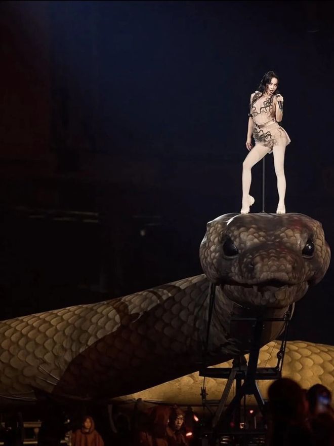 她花了9亿开了场“阴间”演唱会，被举报了，还赔了3亿？-第46张图片-旧杳电影网