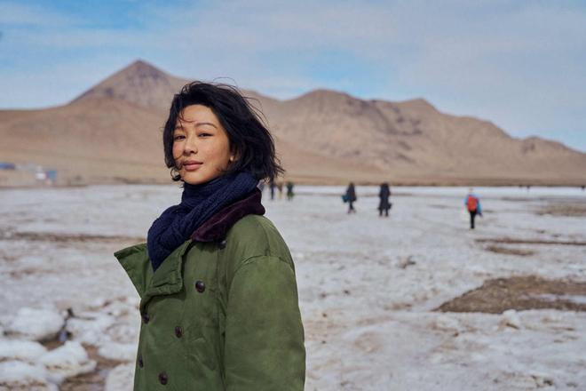 《生命树》定档，胡歌的重头戏被指比杨紫多，爆的可能性大吗？-第1张图片-旧杳电影网