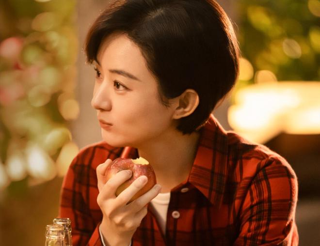 《生命树》定档，胡歌的重头戏被指比杨紫多，爆的可能性大吗？-第2张图片-旧杳电影网