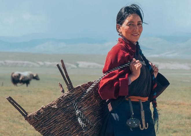 《生命树》定档，胡歌的重头戏被指比杨紫多，爆的可能性大吗？-第8张图片-旧杳电影网