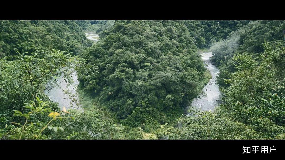 瀑布电影(瀑布电影讲的是什么)-第2张图片-九妖电影