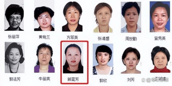 红色通缉令(红色通缉令 电影)-第2张图片-九妖电影