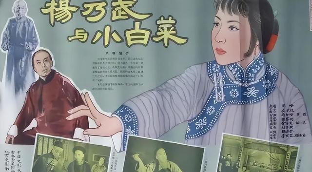 杨乃武与小白菜(杨乃武与小白菜电视剧免费观看)-第2张图片-九妖电影