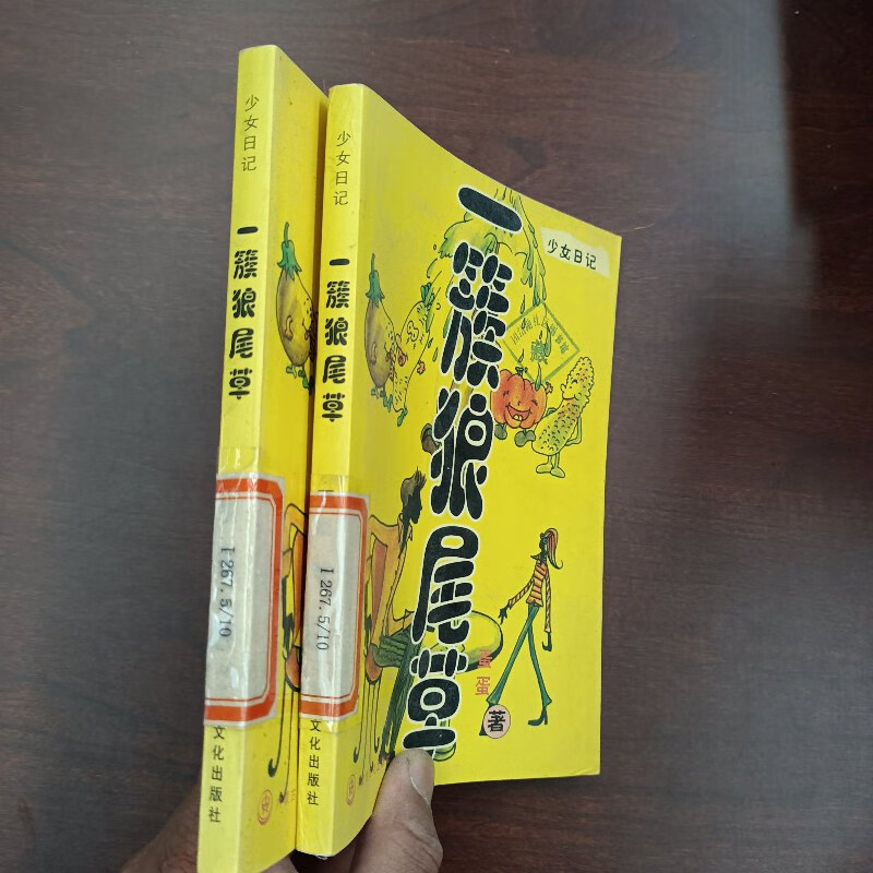 少女日记(怪诞少女日记)-第1张图片-九妖电影