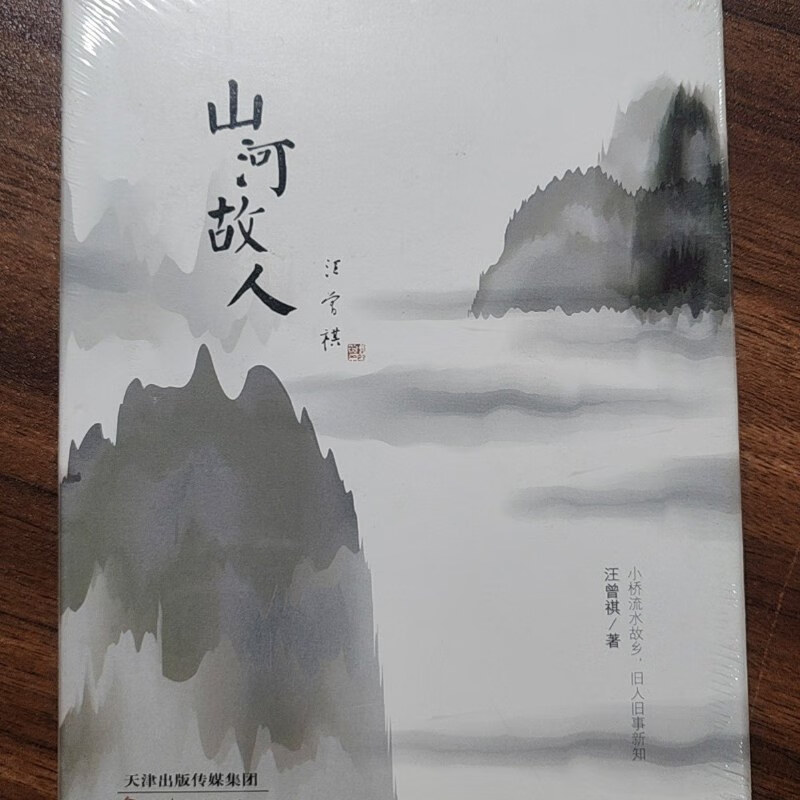 山河故人(山河故人 电影)-第1张图片-九妖电影