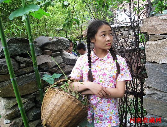 红剪花(洪楗华)-第2张图片-九妖电影