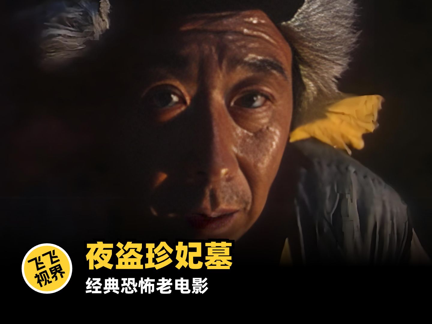 夜盗珍妃墓(夜盗珍妃墓在线观看全集)-第2张图片-九妖电影