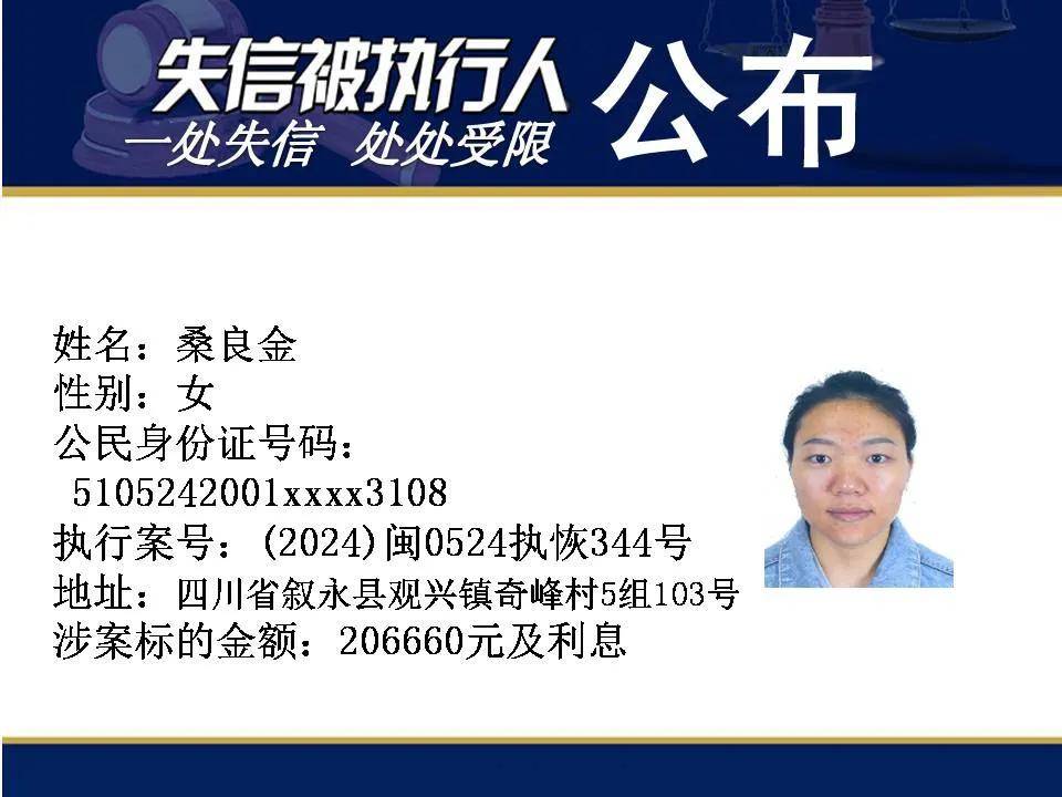 执行(执行案件查询系统)-第2张图片-九妖电影