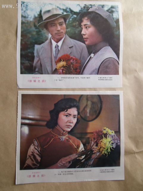 诱捕之后电影(诱捕之后电影简介)-第2张图片-九妖电影