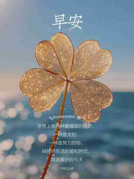 人生的另一种选择(人生两种选择)-第2张图片-九妖电影