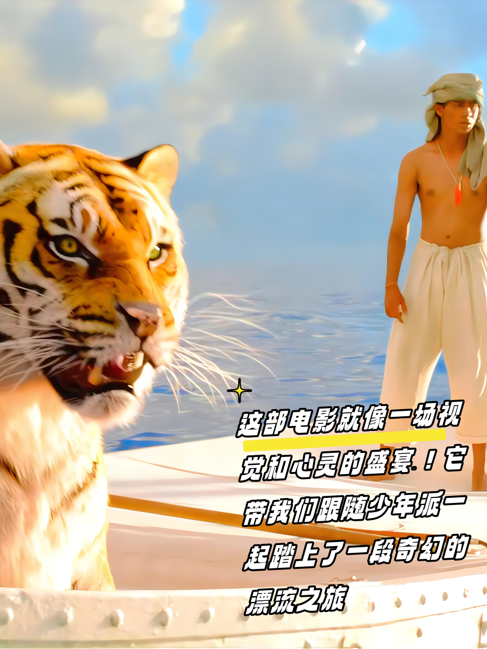 少年派的奇幻漂流(少年派的奇幻漂流简介)-第1张图片-九妖电影